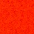 Neon Orange