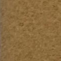 Dark Beige