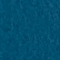 Shark Teal
