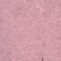 Bubblegum